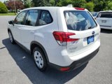 Used 2023 Subaru Forester image 4
