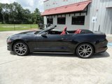 Used 2019 Ford Mustang Premium w/ Equipment Group 201A image 4