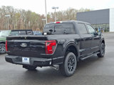 New 2025 Ford F150 XLT w/ Equipment Group 302A MID image 4