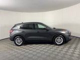 Used 2020 Ford Escape SE image 2