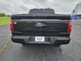 New 2025 Ford F150 STX image 4