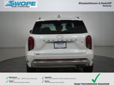 New 2025 Hyundai Palisade Calligraphy image 4