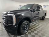 New 2025 Ford F250 4x4 Crew Cab Super Duty image 2