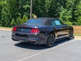 Certified 2023 Ford Mustang Premium image 3
