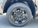 New 2025 Toyota Tundra 1794 Edition image 5