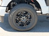 New 2025 Ford F250 XL image 3