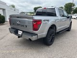 New 2025 Ford F150 XLT image 3