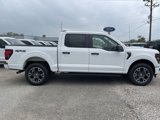 New 2025 Ford F150 STX w/ Equipment Group 200A image 3