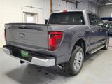 New 2025 Ford F150 XLT w/ Equipment Group 303A High image 5