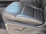 New 2025 Ford F150 Platinum w/ Equipment Group 702A High image 4
