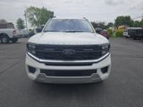 New 2025 Ford Expedition Platinum image 3