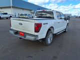 New 2025 Ford F150 XLT w/ Equipment Group 303A High image 3