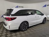 New 2025 Honda Odyssey Elite image 5