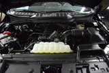 New 2025 Ford F150 XLT image 5
