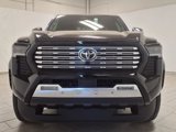New 2025 Toyota Tacoma Limited image 2