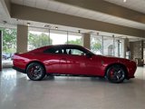New 2024 Dodge Charger Scat Pack w/ Plus Group image 6