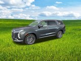 New 2025 Hyundai Palisade Calligraphy image 4