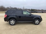 Used 2012 Ford Escape XLT image 5
