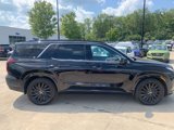 New 2025 Hyundai Palisade Calligraphy image 6