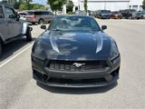 Used 2025 Ford Mustang Premium image 2