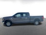 Used 2023 Ford F150 XLT w/ Equipment Group 301A Mid image 4