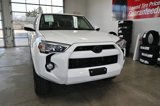 Used 2019 Toyota 4Runner SR5 Premium image 2