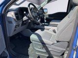 New 2025 Ford F150 XLT image 2