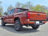 New 2025 Toyota Tacoma TRD Sport image 6
