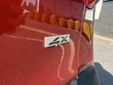 Used 2024 Kia Seltos SX image 5