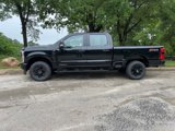 New 2025 Ford F250 XL image 4