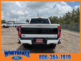 New 2025 Ford F250 Platinum image 5