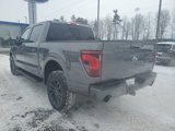 New 2025 Ford F150 XLT w/ Equipment Group 302A MID image 6