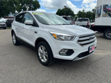 Used 2019 Ford Escape SE image 4
