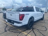 New 2025 Ford F150 Platinum image 4