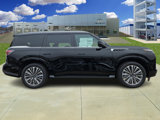 New 2025 INFINITI QX80 Luxe image 5