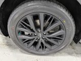 Used 2022 Kia Telluride SX w/ SX Prestige Package image 3