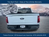 New 2025 Ford F150 XLT w/ Equipment Group 303A High image 5