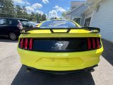 Used 2021 Ford Mustang Premium w/ Pony Package image 4