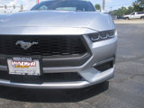 Used 2024 Ford Mustang Premium image 6
