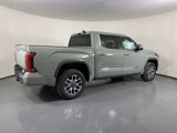 New 2025 Toyota Tundra 1794 Edition image 4