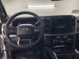 New 2025 Ford F250 Platinum w/ Tremor Off-Road Package image 4
