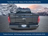 New 2025 Ford F150 Platinum image 5