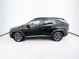Certified 2025 Hyundai Tucson Blue image 4