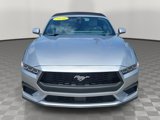 Used 2024 Ford Mustang Premium image 5