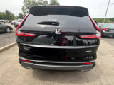 Used 2024 Honda CR-V Sport Touring image 4