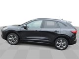 Used 2024 Ford Escape ST-Line image 6
