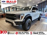 Used 2025 Ford F150 Raptor image 3