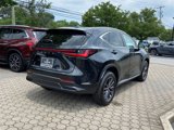 Certified 2024 Lexus NX 350 AWD w/ Premium Package image 4