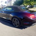 Used 2020 Ford Mustang Premium image 3