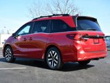 New 2025 Honda Odyssey EX-L image 5